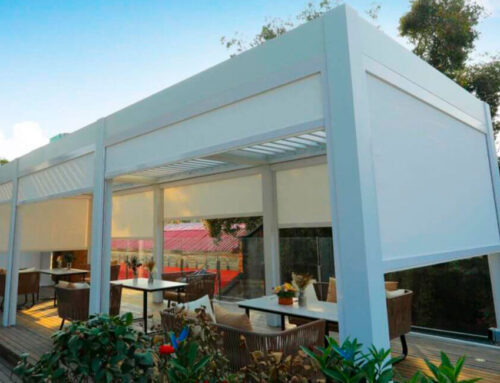 Boletín noviembre 2025