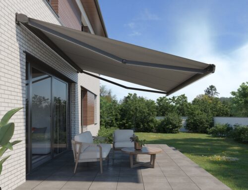 Boletín de febrero 2026